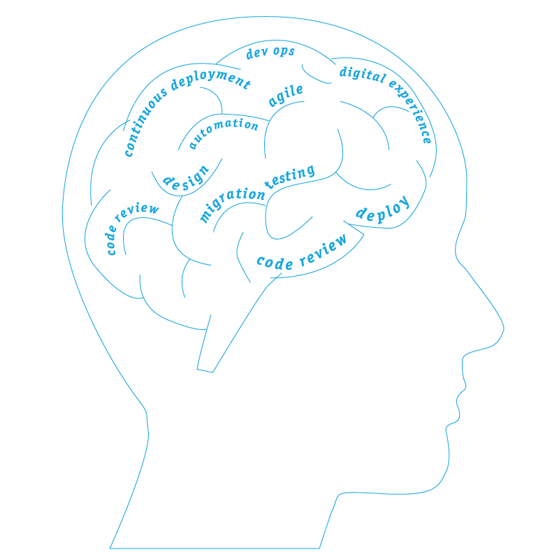 brain showing principles