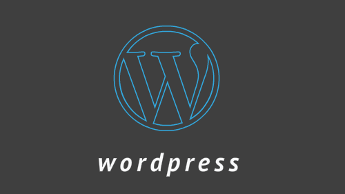 E-Infinitum are specialist in word press